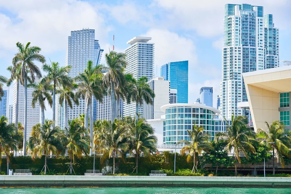 Real Estate Website Development in Dubai