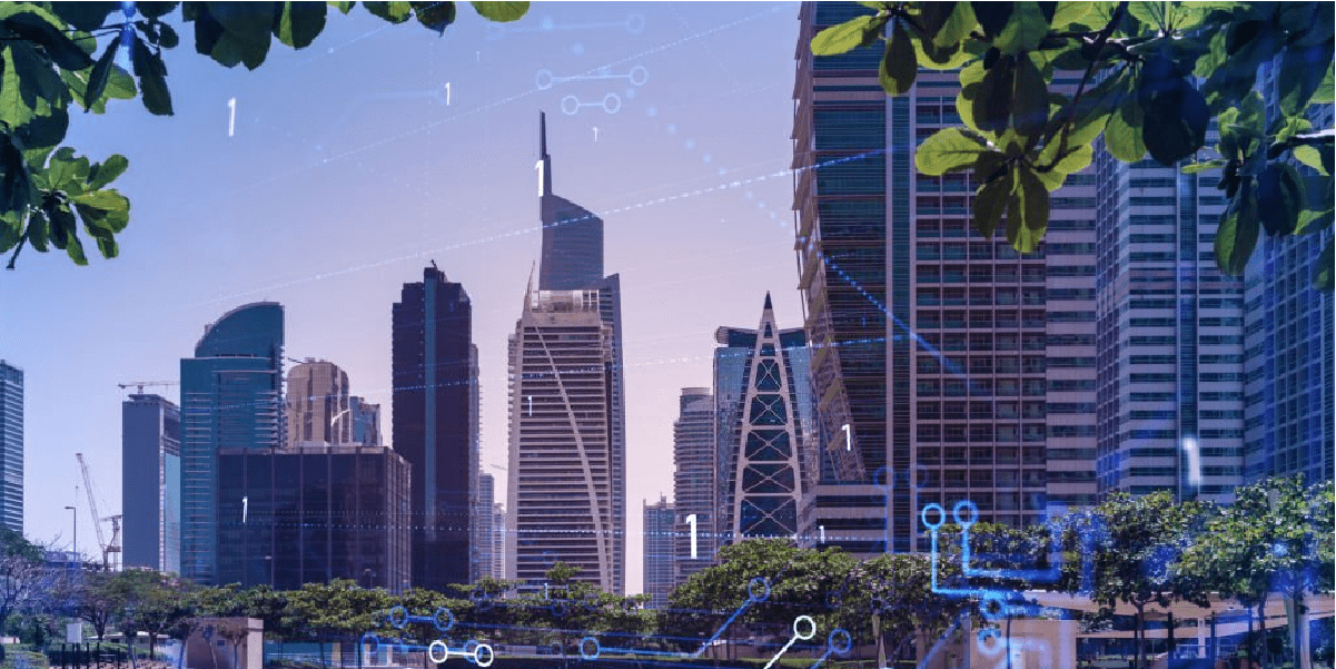 Custom Software Development in Dubai